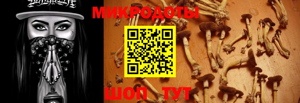 Псилоцибиновые грибы Magic Shrooms  Галлюциногенные грибы мухоморы  Вход с VPN  Апшеронск 